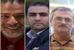 داوران هنرواره حبیب