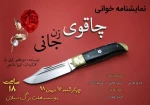چاقوی زن جانی