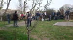 نمایش در گرمی
