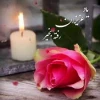 یاد سفرکرده ها